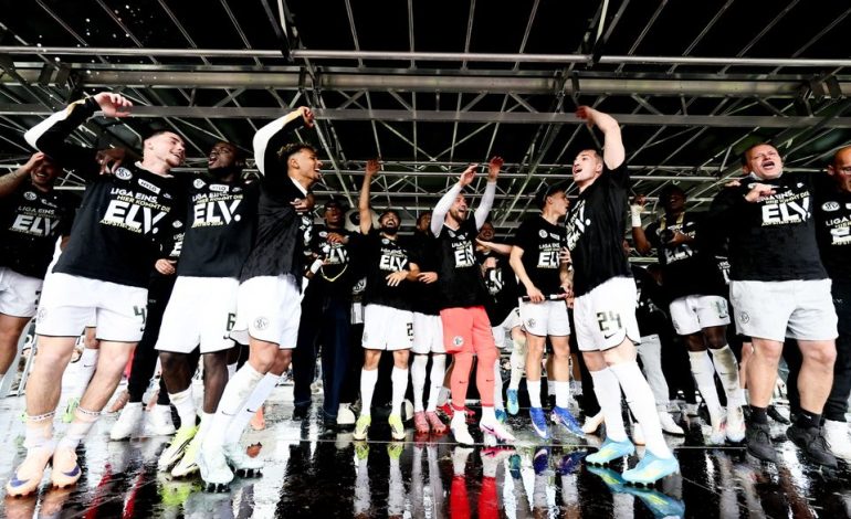 Elversberg erreicht die Bundesliga: Ein Blick auf die Anreise und den Verein