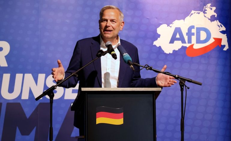 AfD rüstet sich für Landtagswahl in Mecklenburg-Vorpommern