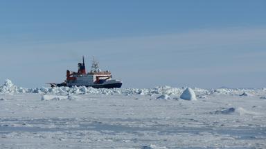 Forschungsschiff Polarstern kehrt von Antarktis-Expedition zurück