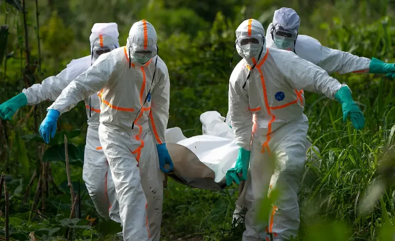 Seltene Ebola-Variante im Kongo: Risiken und Maßnahmen