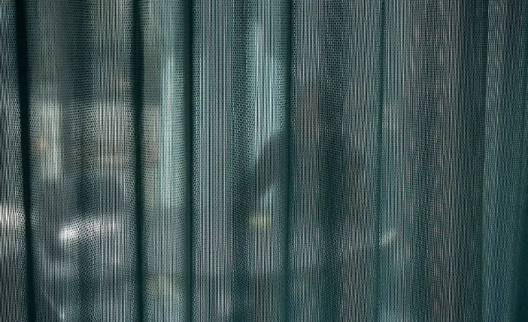 Korruption im Alltag: Erkennen und Handeln
