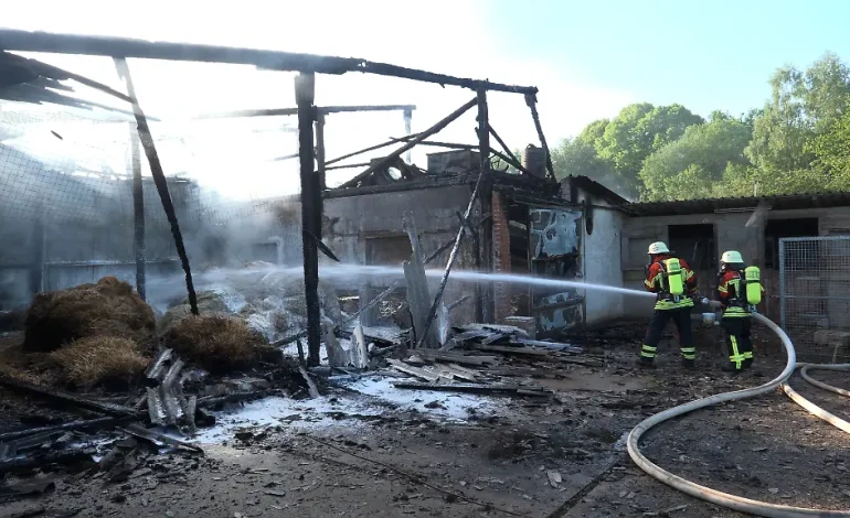 Großbrand auf Geflügelhof im Saarland: Tausende Hühner sterben
