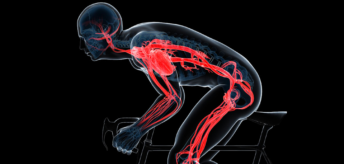 Effektiver Einsatz von Sport gegen Bluthochdruck