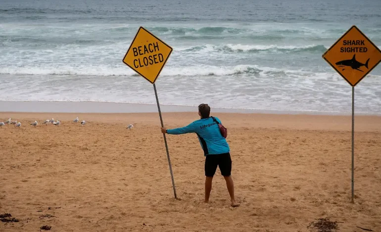 Tödlicher Hai-Angriff in Australien