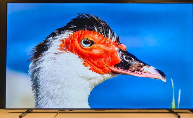Test des Hisense E7Q Pro: Riesenfernseher für Sport und Gaming