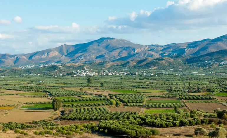 EU-Agrarsubventionsbetrug: Festnahmen in Kreta