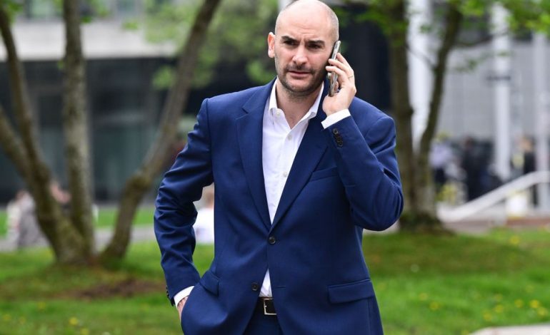 Danyal Bayaz und seine Rolle in der grünen Politik