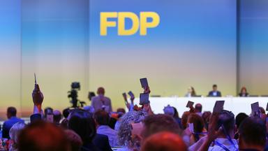 Mit Kubicki an der Spitze: FDP gewinnt neue Mitglieder