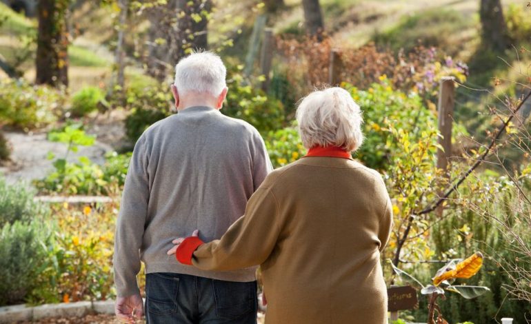Missbrauch in der Pflegeversicherung: Ein Insider-Bericht