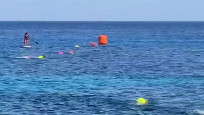Krokodil sorgt für Panik bei Schwimmwettbewerb in Mexiko