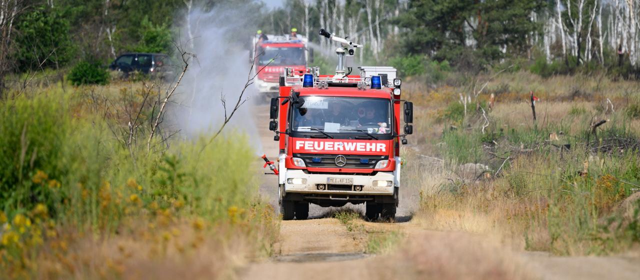 Herausforderungen bei Waldbränden in Deutschland