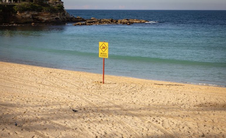 Haiangriff in Sydney: Mutter befindet sich im künstlichen Koma