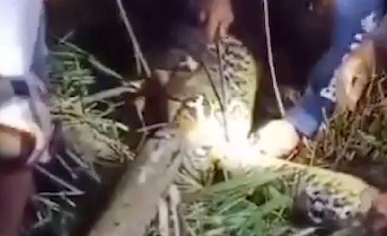 Schockierende Tragödie auf Indonesischer Insel