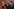 Was im Sozialpolitischen Treffen Besprochen Wurde