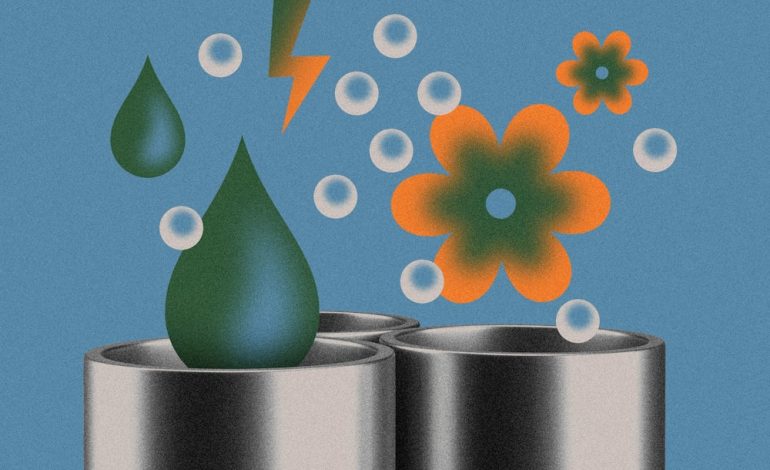Klimawandel und seine aktuellen Herausforderungen