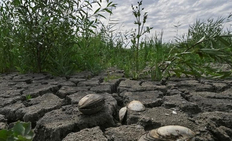 Die Folgen der Sprengung des Kachowka-Staudamms in der Ukraine