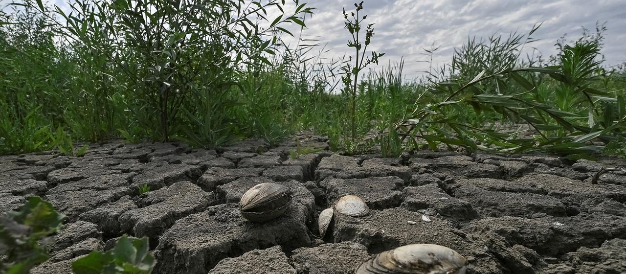 Die Folgen der Sprengung des Kachowka-Staudamms in der Ukraine