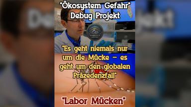 Debug-Projekt: Sterilisierte Mücken gegen Krankheiten