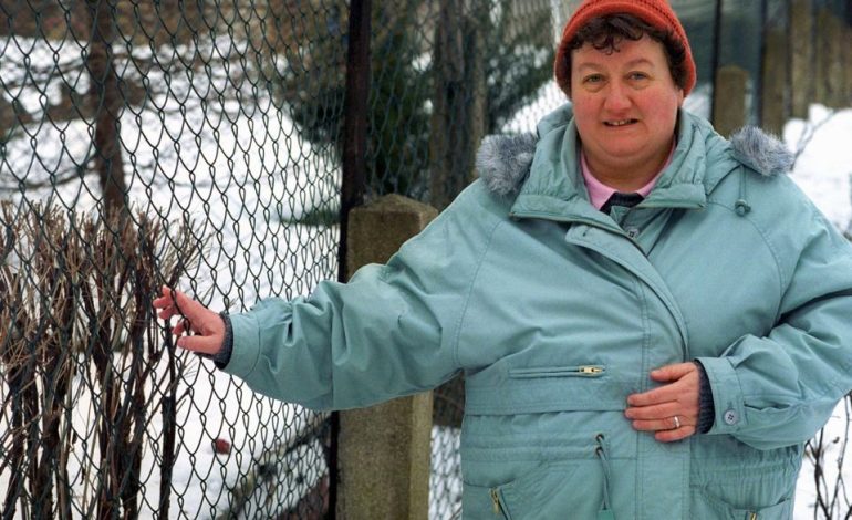 Regina Zindler und der ‚Maschendrahtzaun‘-Hype