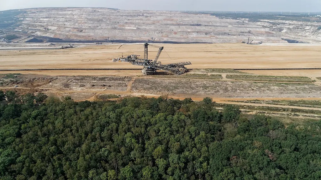 Dauerhafter Schutz für den Hambacher Wald beschlossen