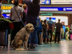 Zugverkehr in Deutschland: Ursachen und Auswirkungen der Störung