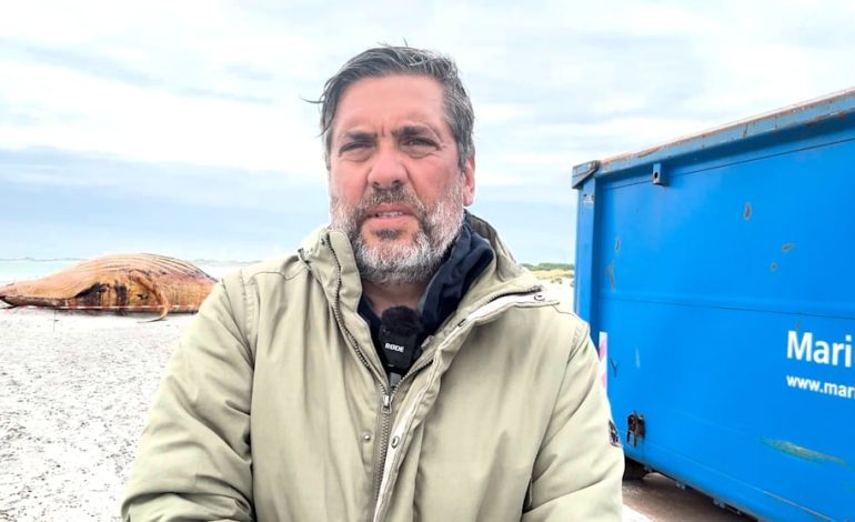 Obduktion von Timmy: Bericht von der Insel Anholt