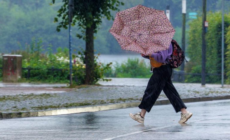 Hitze und Klimaanpassung: Herausforderungen für Deutschland