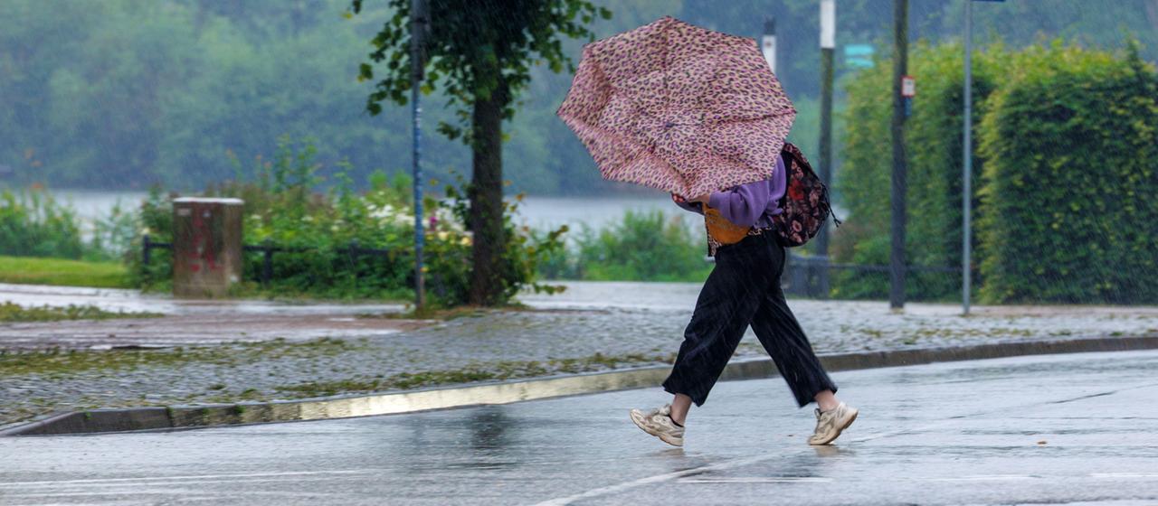 Hitze und Klimaanpassung: Herausforderungen für Deutschland