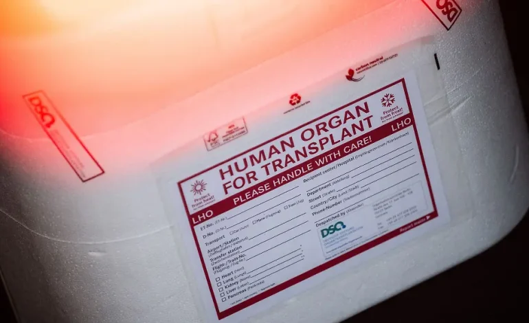Organspende in Deutschland: Herausforderungen und Fortschritte