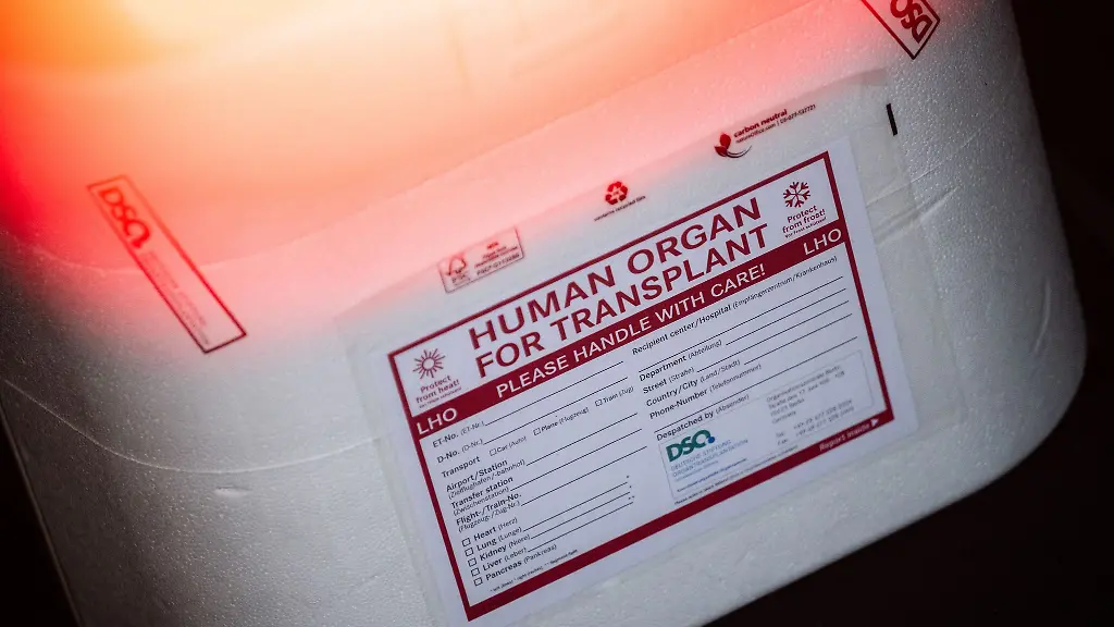 Organspende in Deutschland: Herausforderungen und Fortschritte