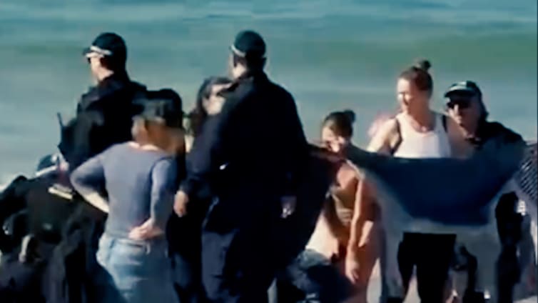Hai-Angriff auf Schwimmerin in Sydney sorgt für Strand-Schließungen