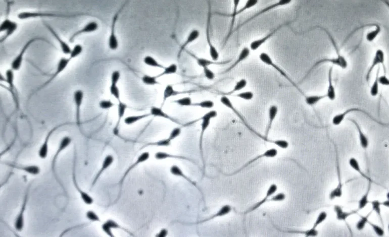 Luftverschmutzung und Ihre Auswirkungen auf Spermien-DNA