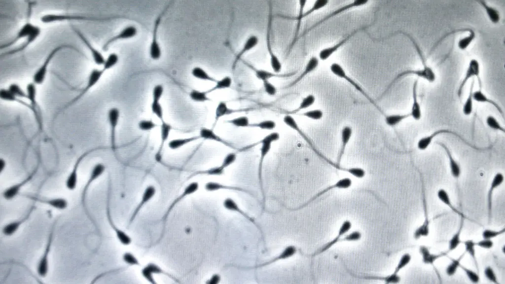 Luftverschmutzung und Ihre Auswirkungen auf Spermien-DNA
