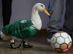 Kanada: Ein Rührstück bei der Fußball-WM