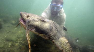 Wasserknappheit in Deutschland: Herausforderungen und Maßnahmen