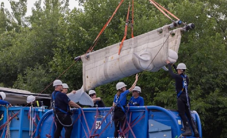 Spektakuläre Rettungsaktion für Belugawale