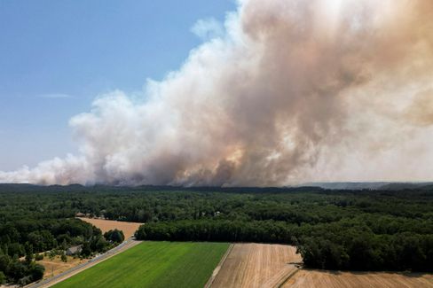 Waldbrände in Fontainebleau gefährden Paris