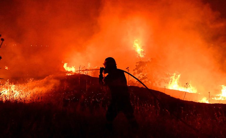 Waldbrände in Europa: Feuerwehren im Dauereinsatz