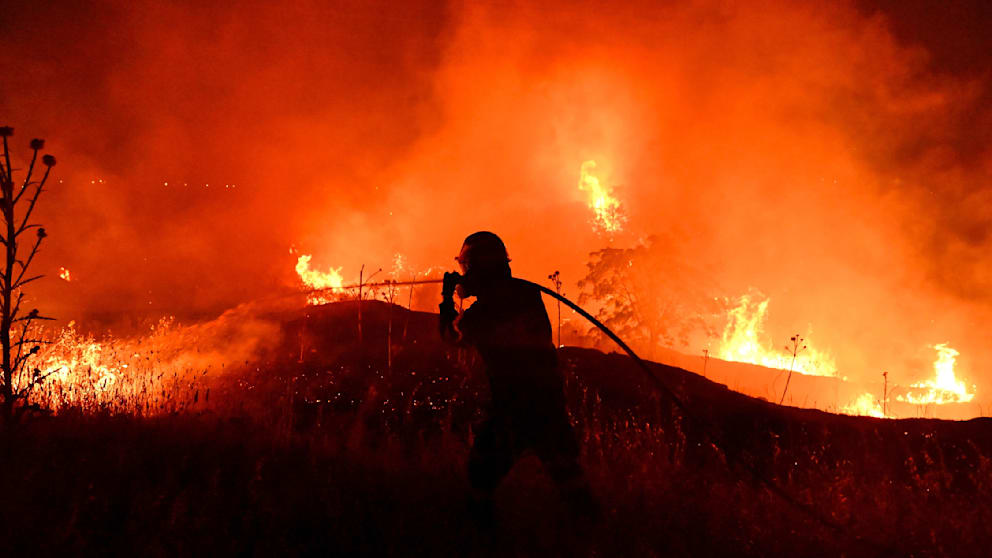 Waldbrände in Europa: Feuerwehren im Dauereinsatz