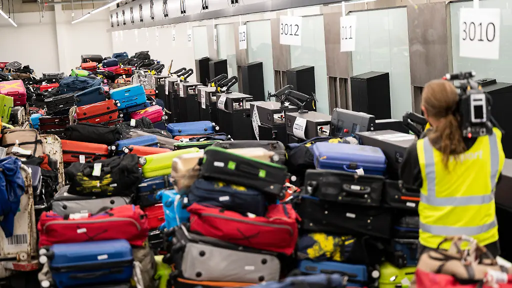 Mitgereiste Mücke infiziert Mitarbeiter am Frankfurter Flughafen mit Malaria