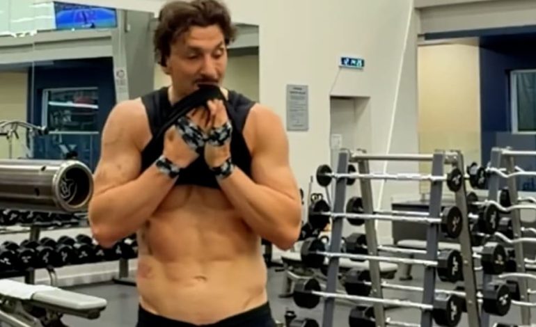 Zlatans Vorbereitung auf das WM-Finale