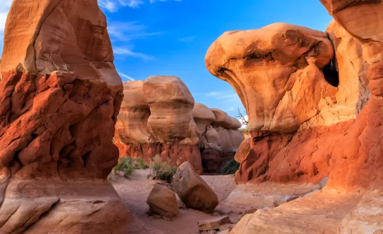 Trump reduziert Naturschutzgebiete in Utah drastisch