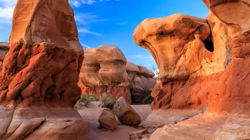 Trump reduziert Naturschutzgebiete in Utah drastisch