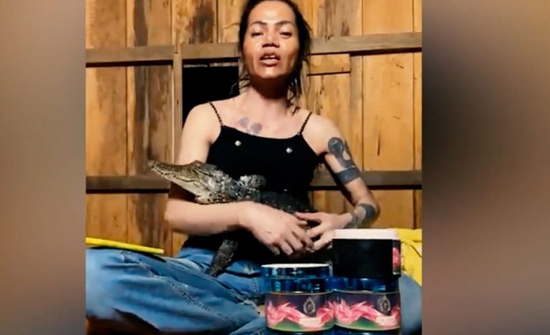 Tierschutzkritik nach Krokodilangriff im Livestream