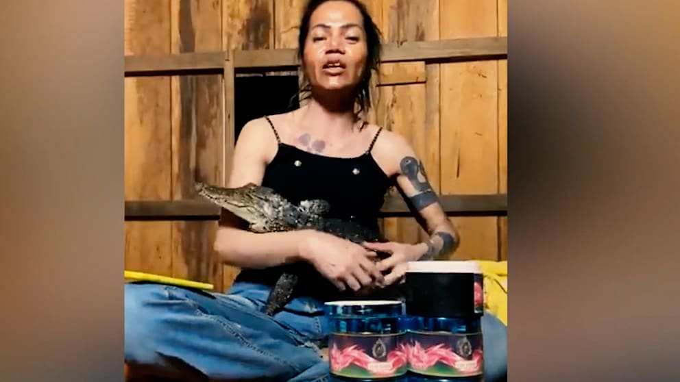 Tierschutzkritik nach Krokodilangriff im Livestream
