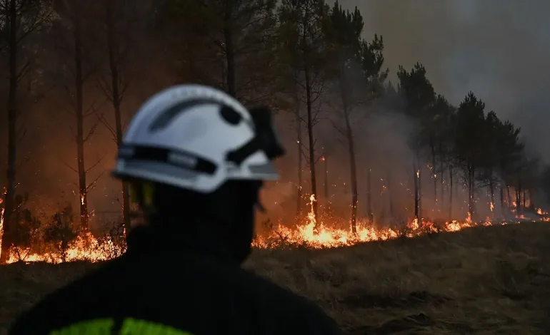 Verheerende Waldbrände in Frankreich und Südeuropa: Eine Analyse der Lage