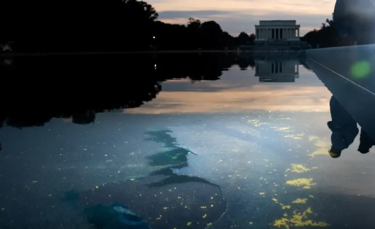 Ex-Olympionik wegen Schäden am Reflecting Pool angeklagt