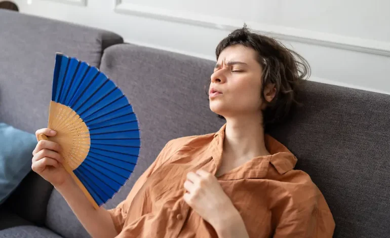 Vorbereitungen auf die nächste Hitzewelle: Ventilatoren im Angebot