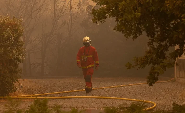 Verheerende Waldbrände in Südeuropa: Grünen-Chefin fordert verstärkten Klimaschutz
