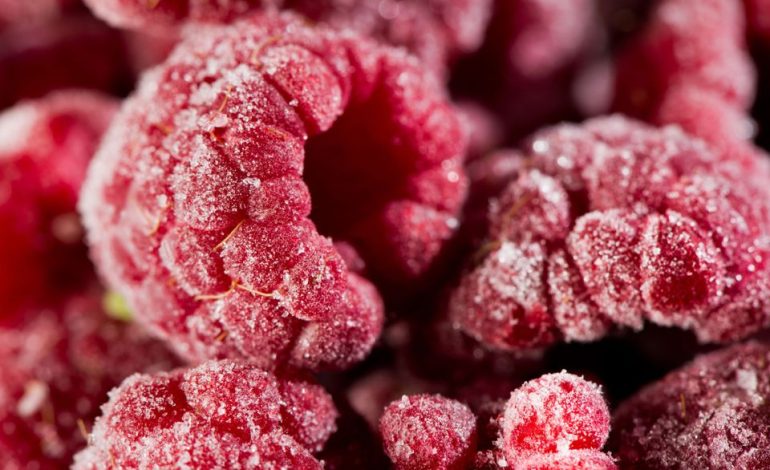 Rückrufaktion von Tiefkühlbeeren: Gesundheitsgefährdung durch Noroviren
